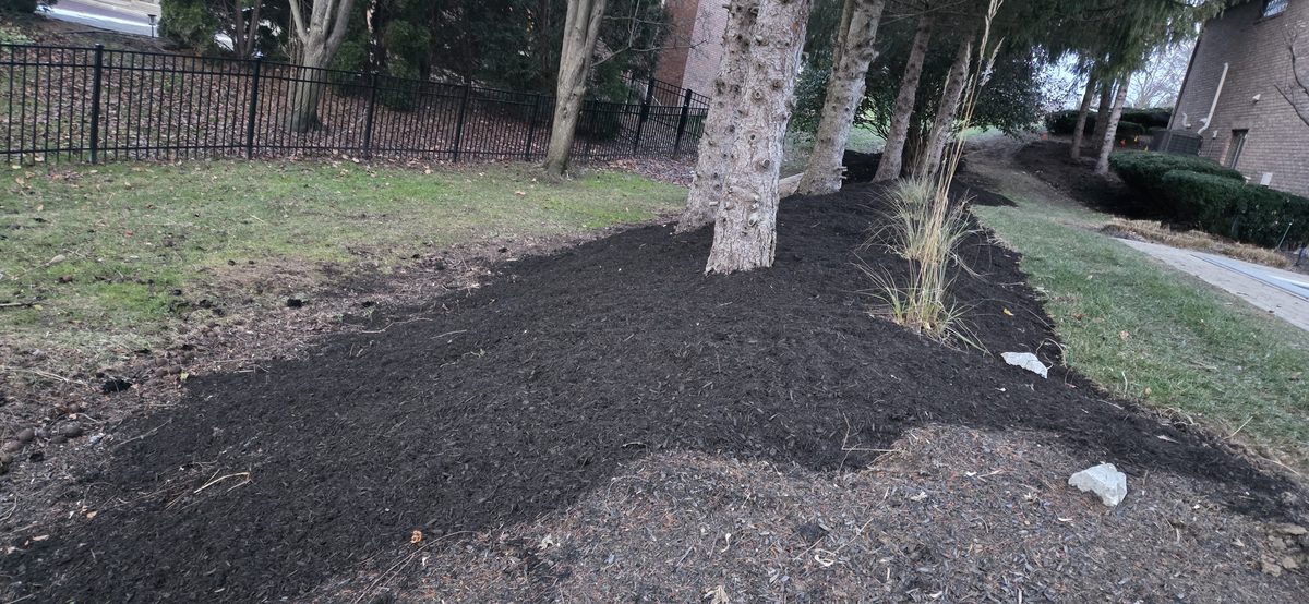 Large boulder retaining wall installation