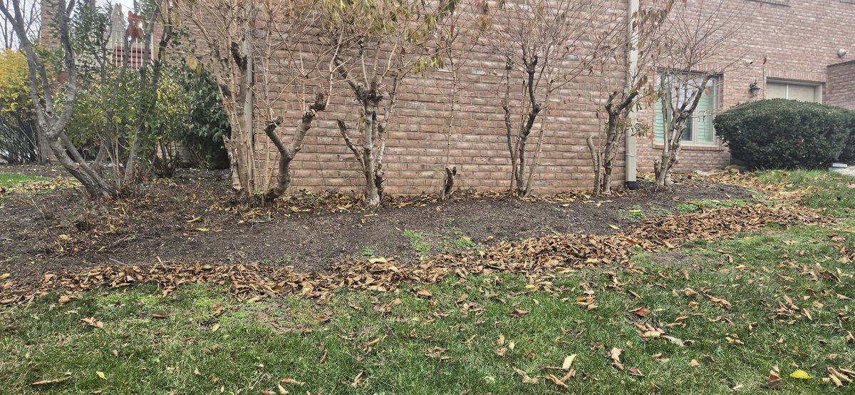 Boulder retaining wall project
