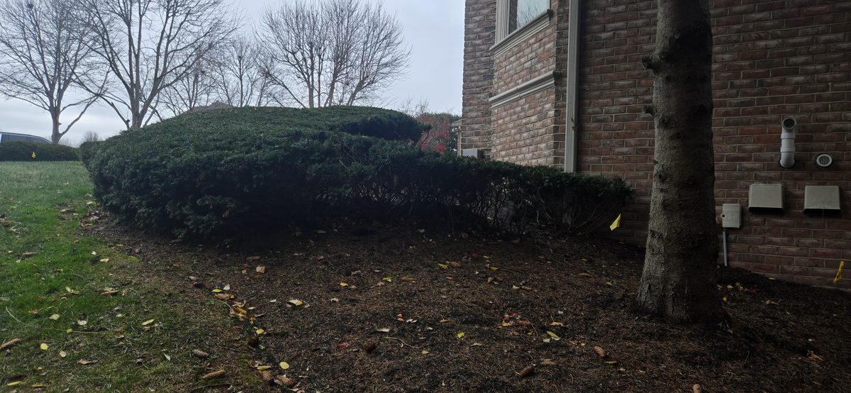 Boulder retaining wall project