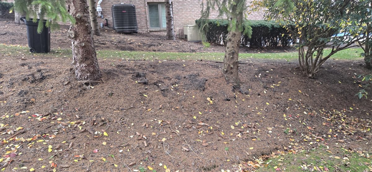 Boulder retaining wall project