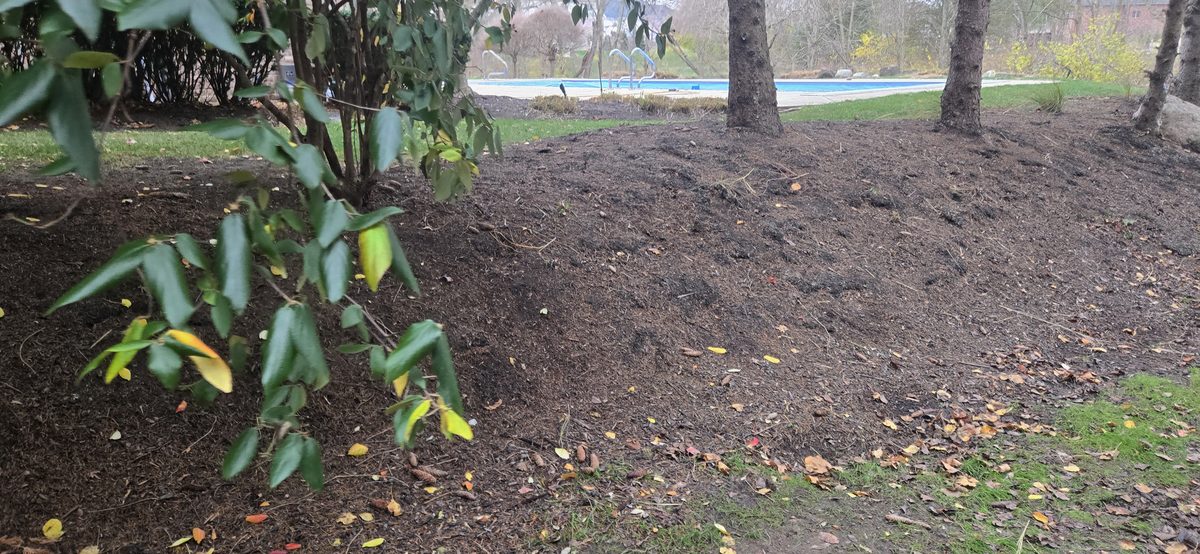 Boulder retaining wall project