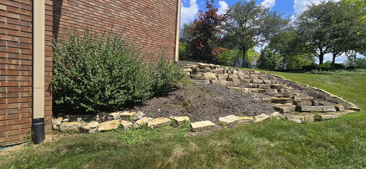 Professional bush and shrub trimming