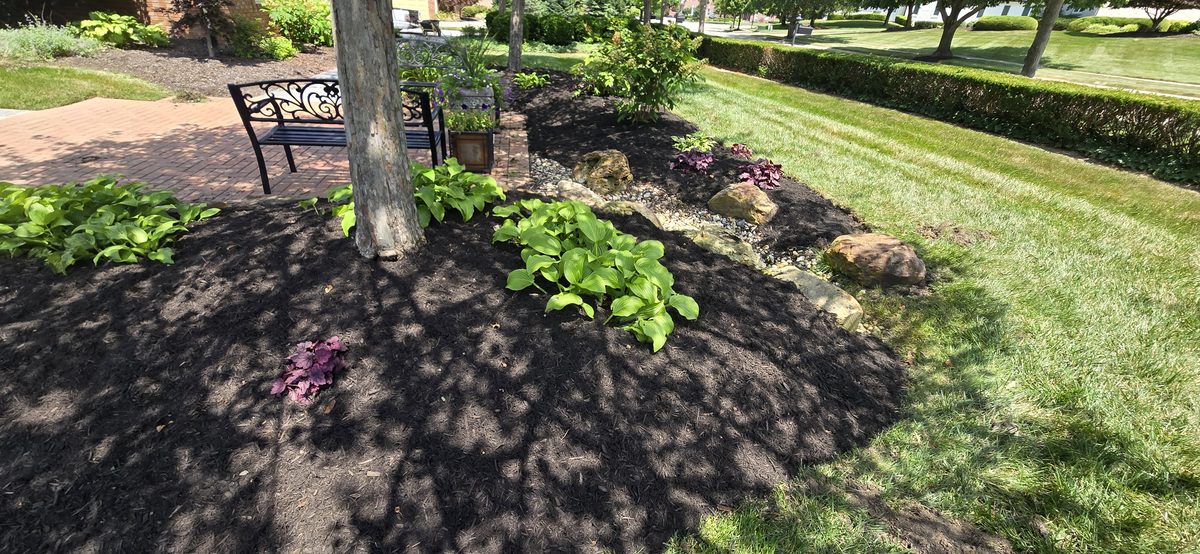 Professional bush and shrub trimming