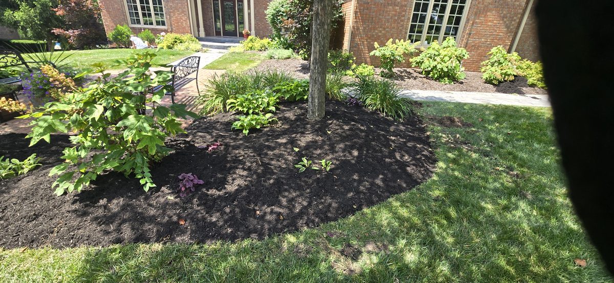 Professional bush and shrub trimming
