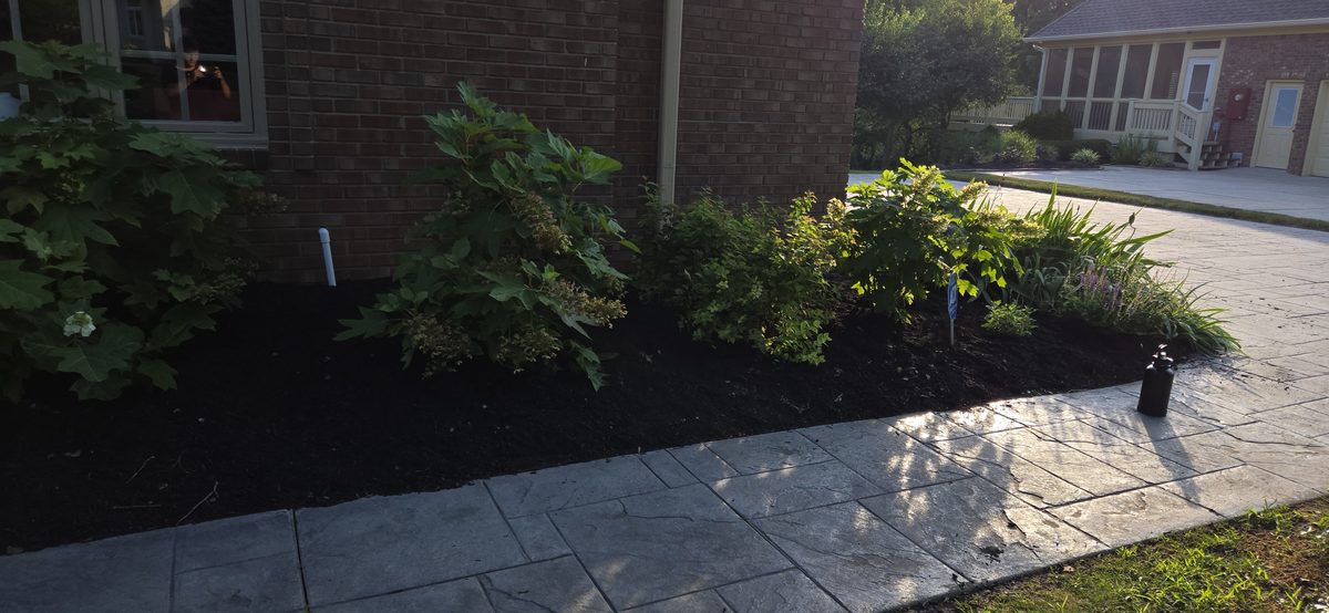 Fresh dark mulch bed installation