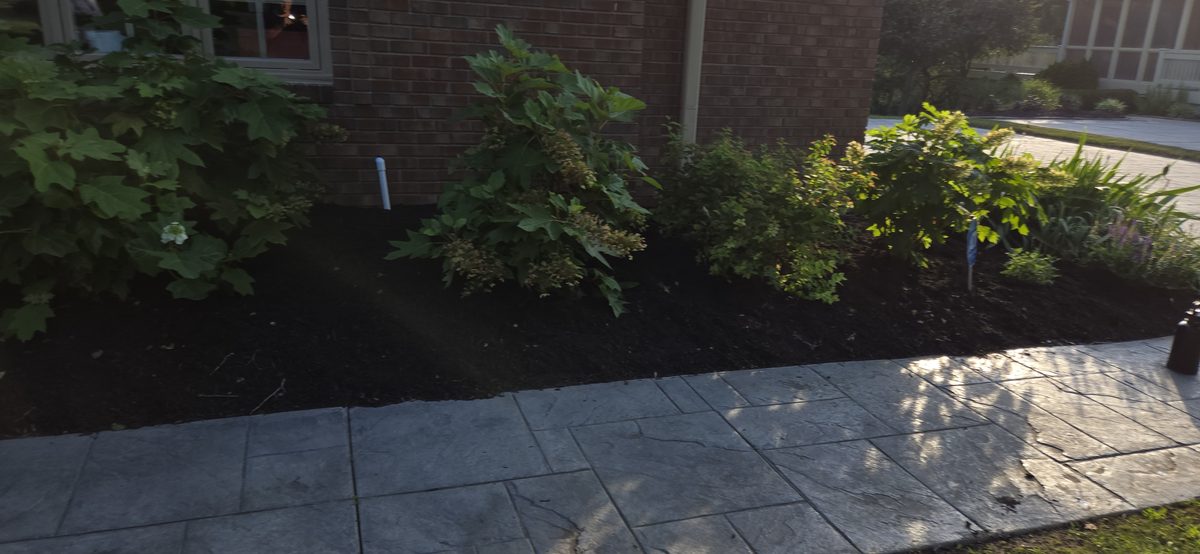Fresh dark mulch bed installation