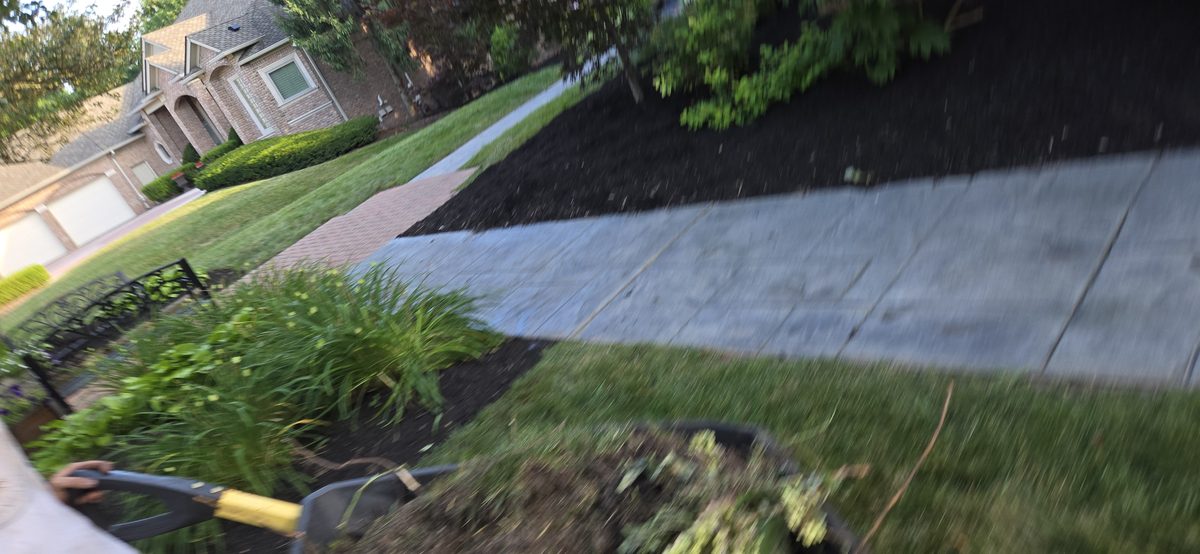 Fresh dark mulch bed installation