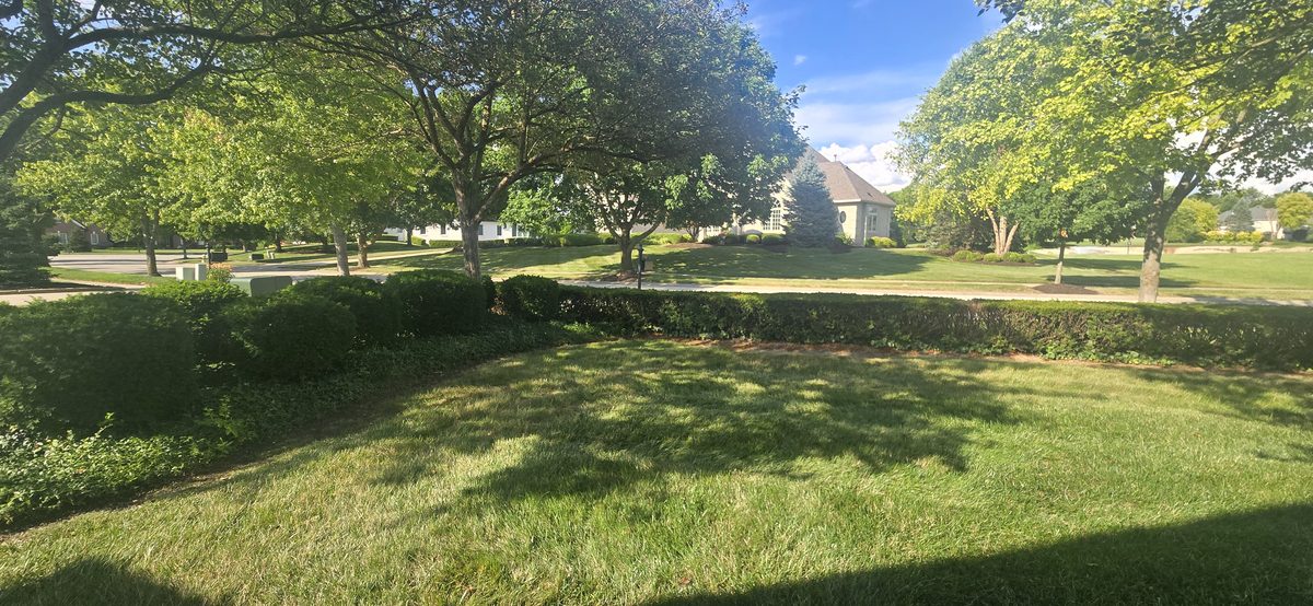 Fresh mulch beds along stamped concrete walkway