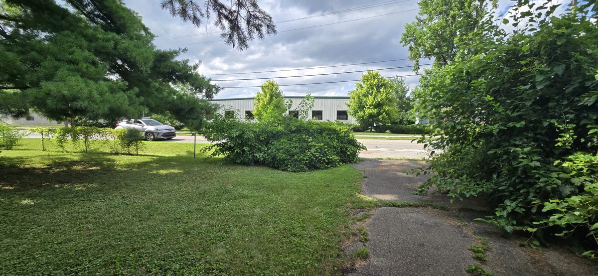 Overgrown vegetation clearing service