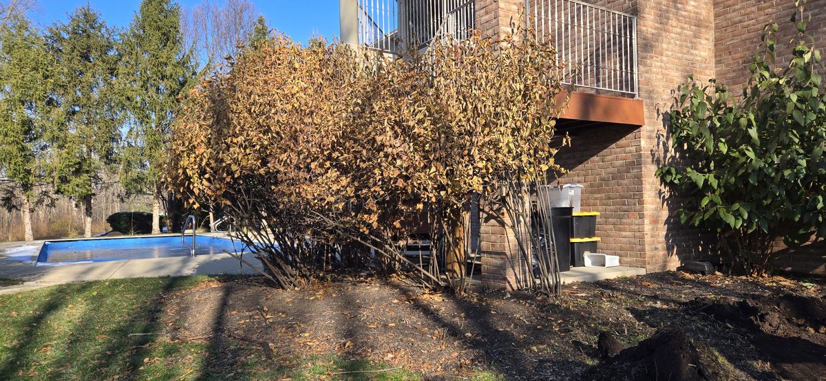 Winter yard cleanup and maintenance