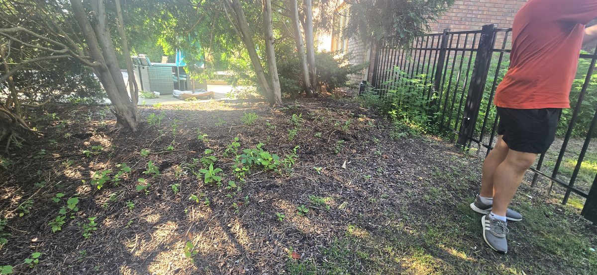 Yard cleanup and debris removal