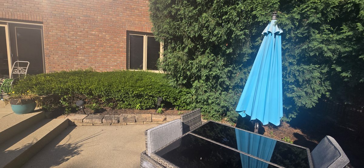Detailed yard work and maintenance