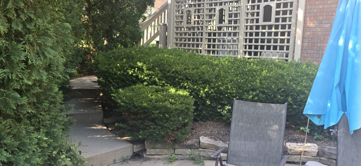 Detailed yard work and maintenance