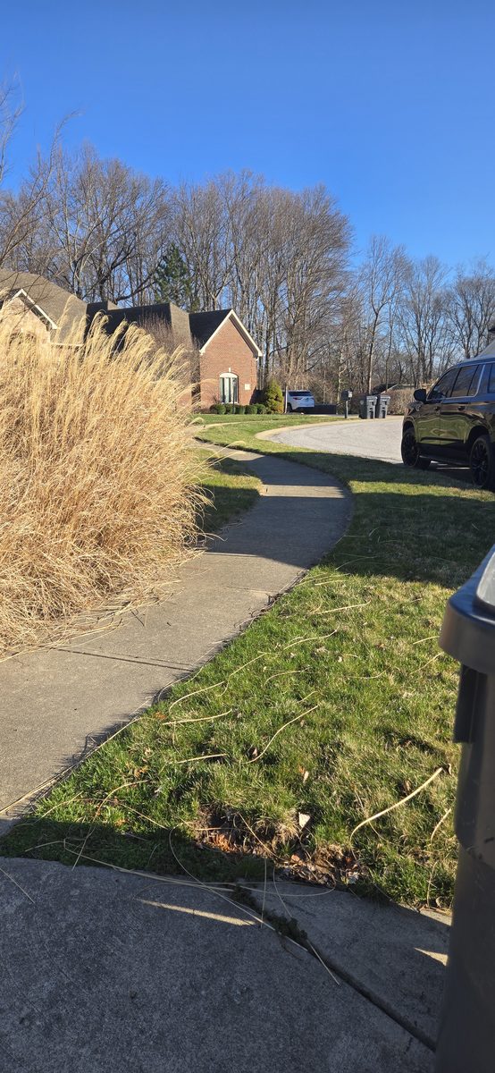 Driveway before power washing service