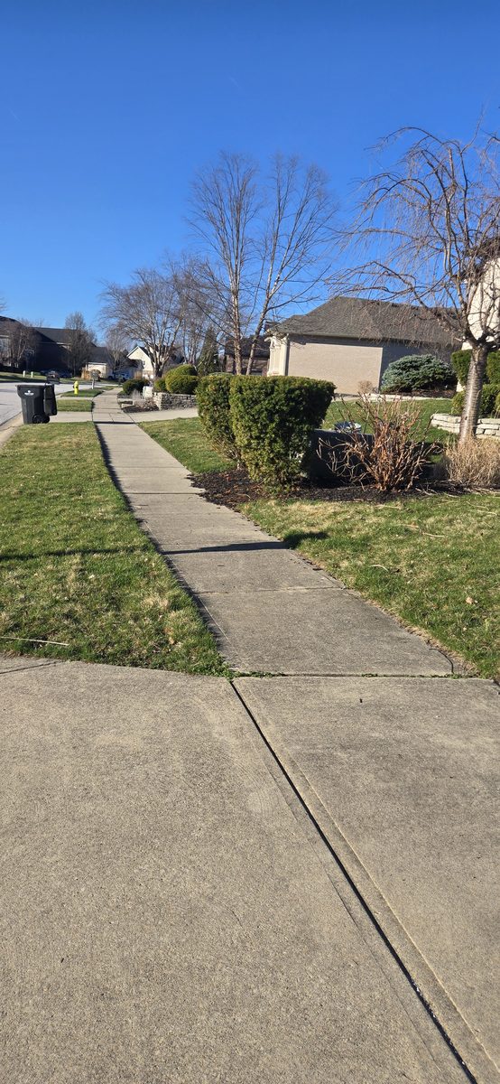 Driveway before power washing service