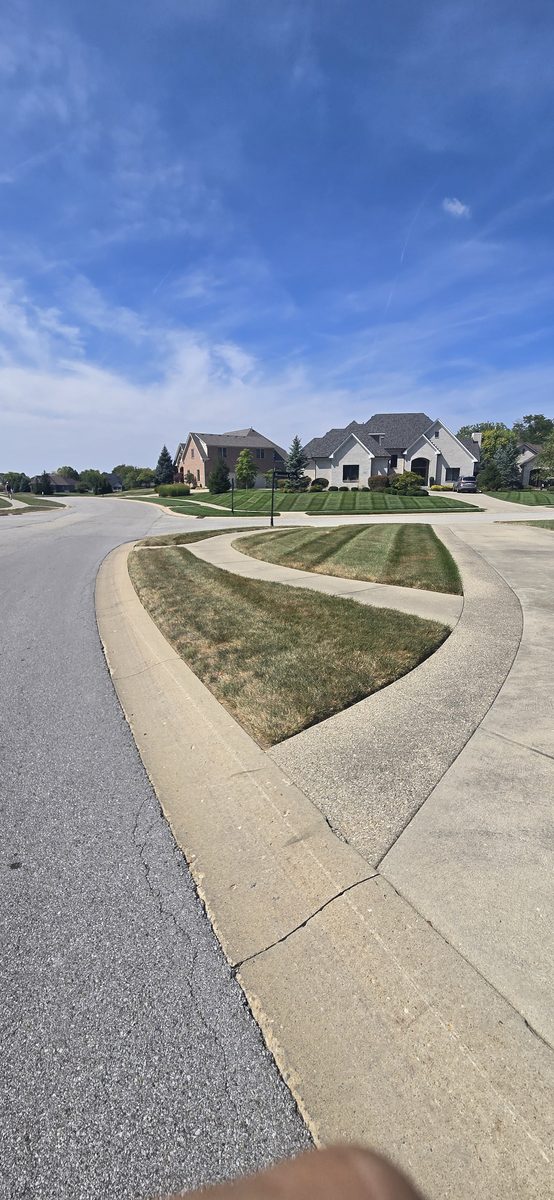Clean driveway after power washing