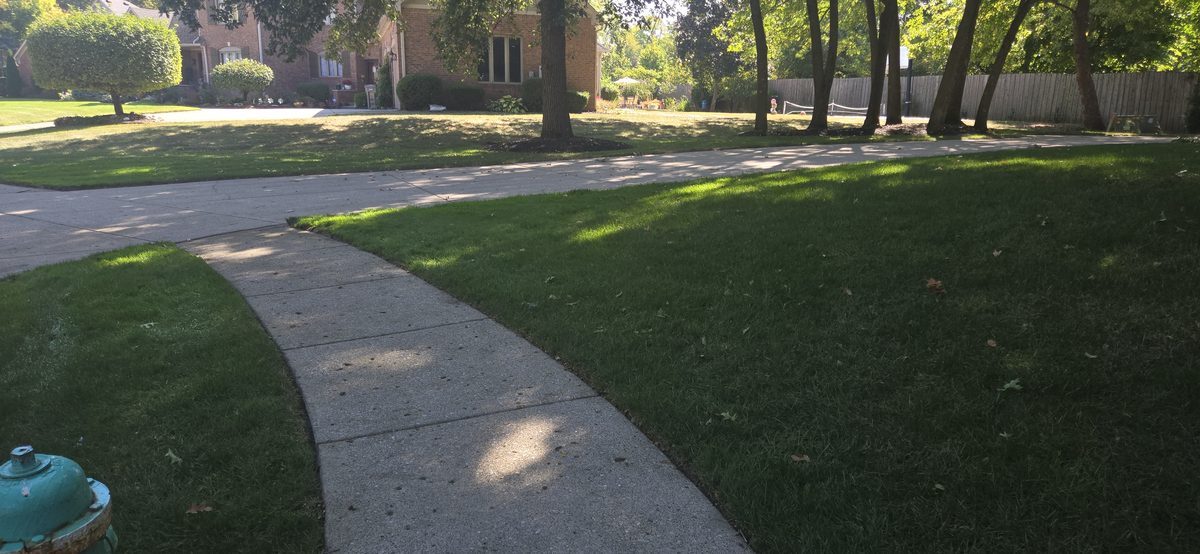 Lawn and sidewalk after service