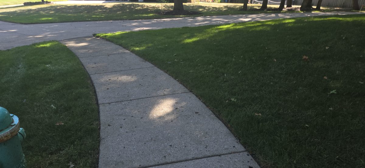 Lawn and sidewalk after service