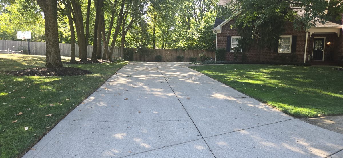 Lawn and sidewalk after service