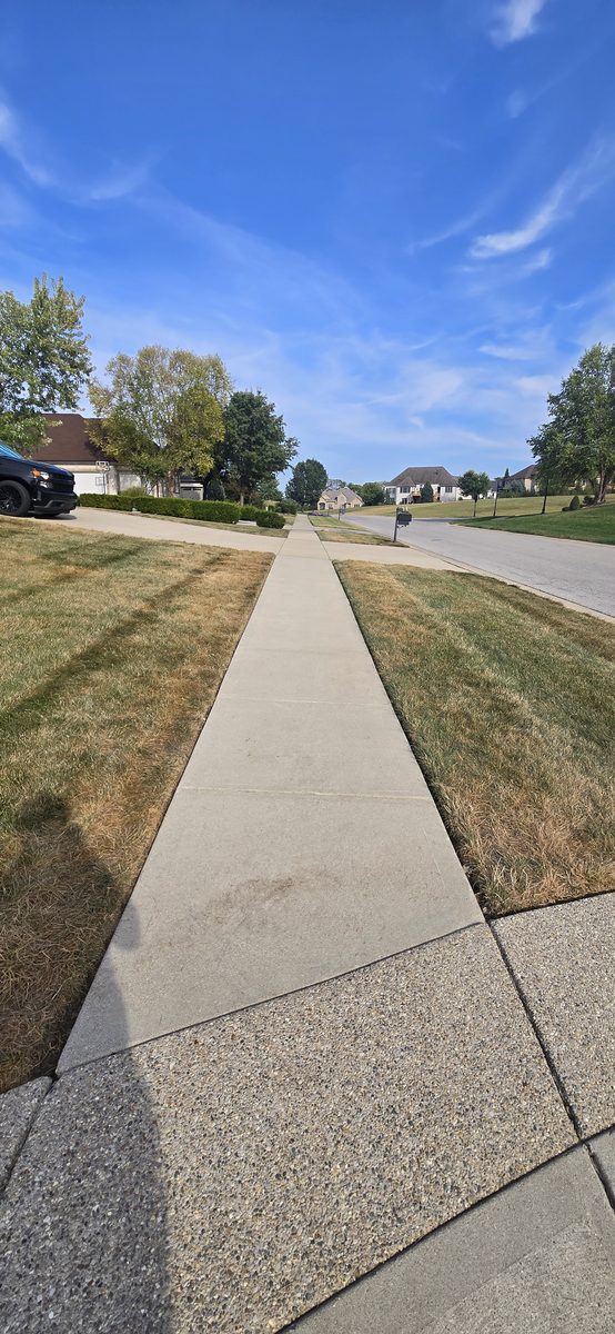 Neighborhood curb after pressure washing