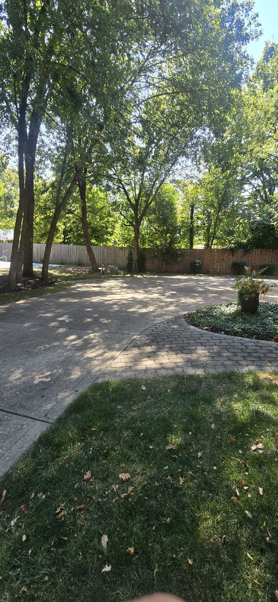 Clean sidewalk after pressure washing