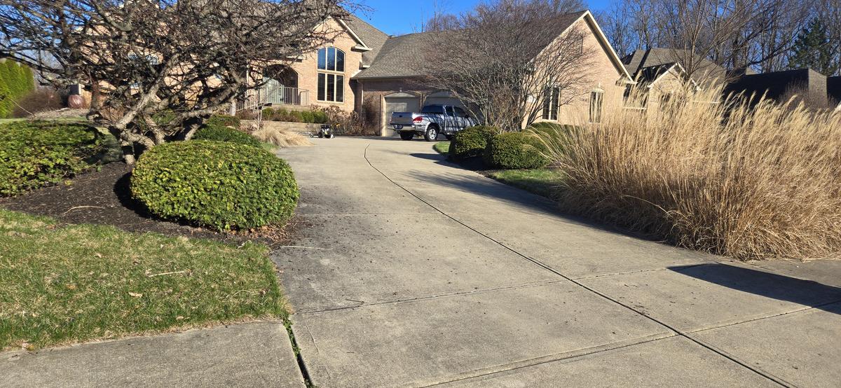 Landscaped driveway with ornamental grasses