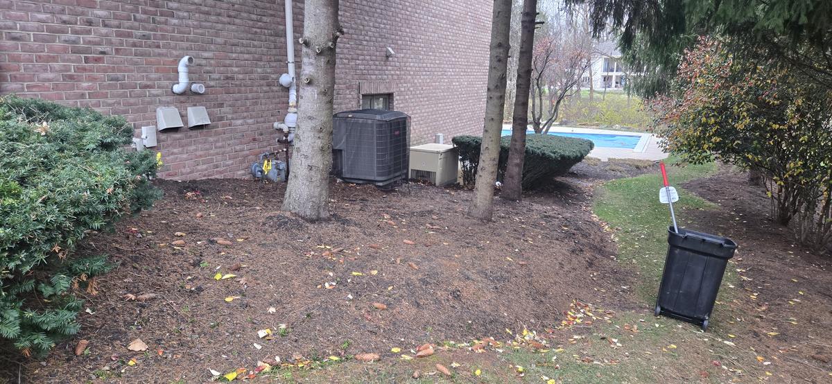 Bare dirt around trees before mulching — same property