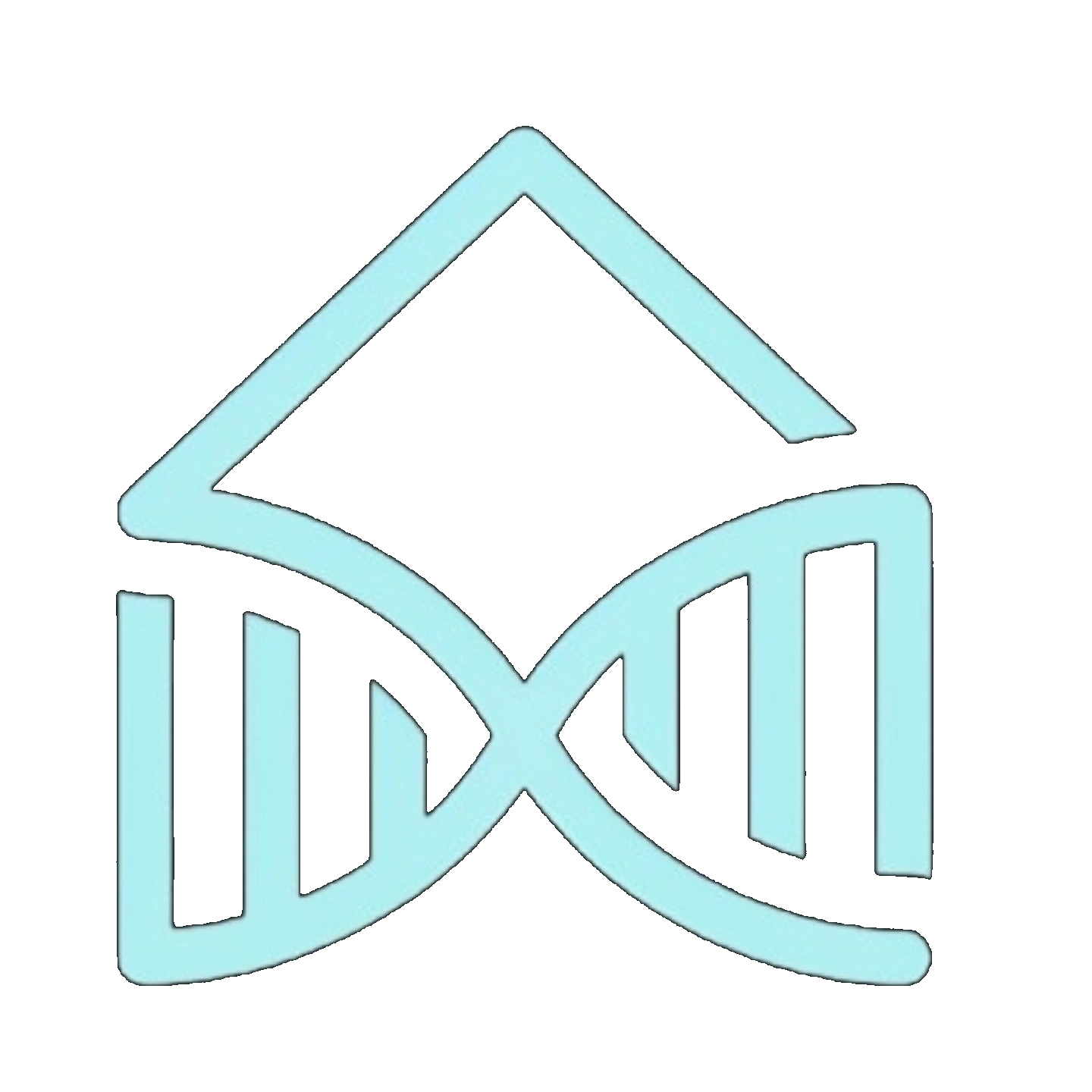 DNA Prime Property Services logo