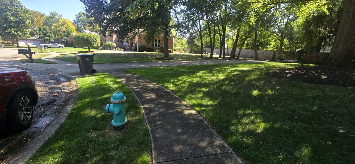 Clean lawn and sidewalk after service