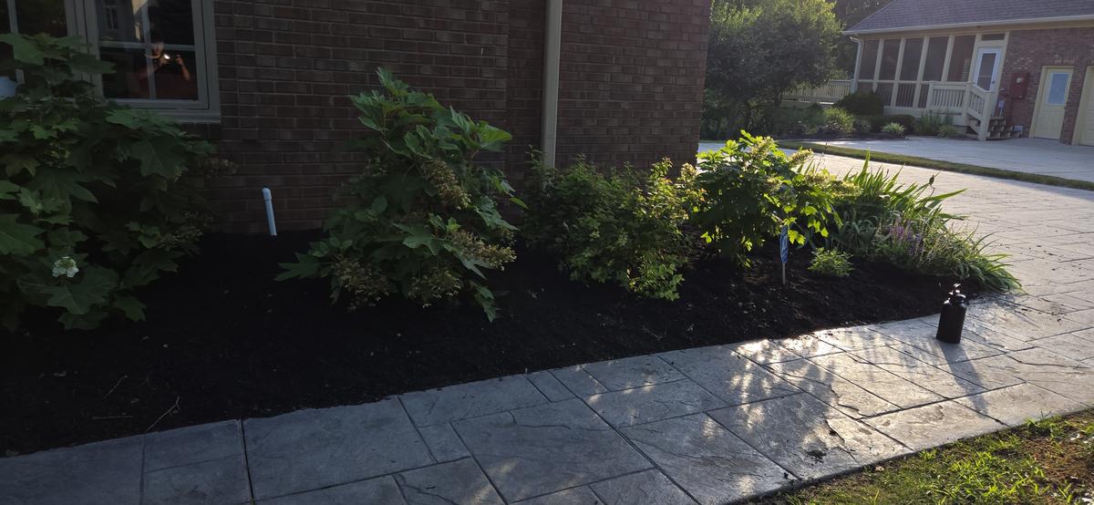 Fresh mulch and landscaping — DNA Prime